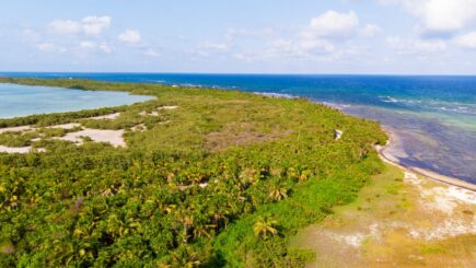 Sian Ka‘ an in Mexiko: das “Tor zum Himmel” für die Mayas