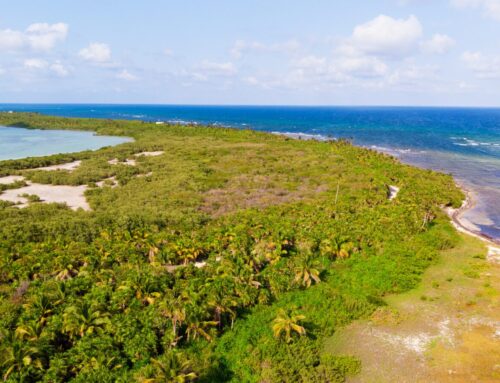 Sian Ka‘ an in Mexiko: das “Tor zum Himmel” für die Mayas