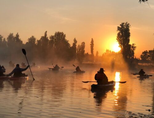 Xochimilco erneuert sich: Neue Erlebnisse– Kajaktouren, Glamping & Kultur