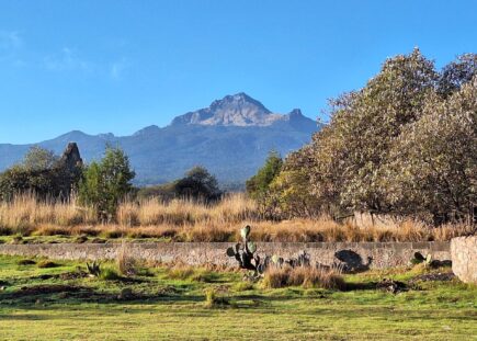 Malinche